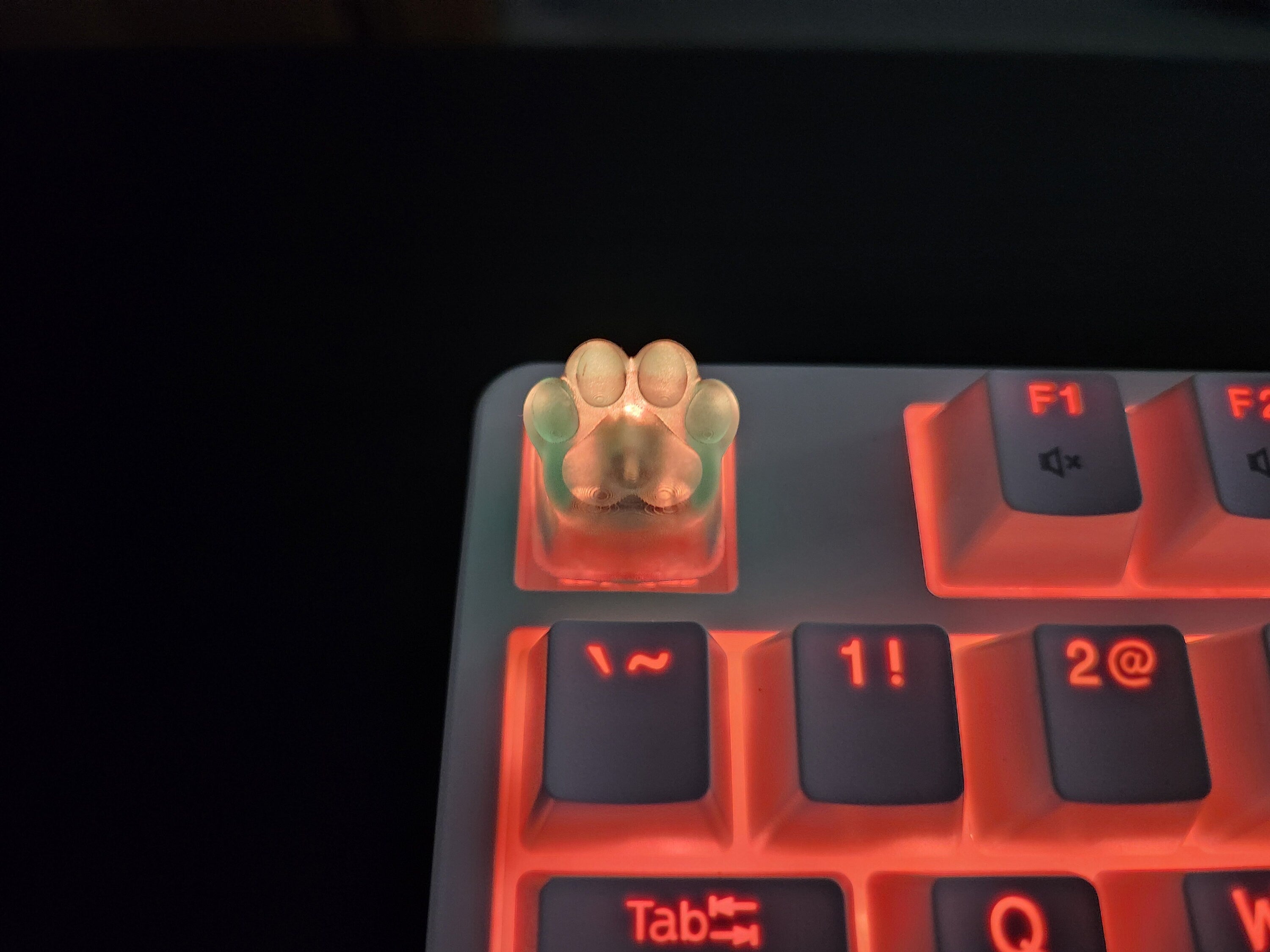 Kitten Cat Paw Keycap - Clear Transparent Cute Keycap Designs, Cherry MX, Multiple Colors