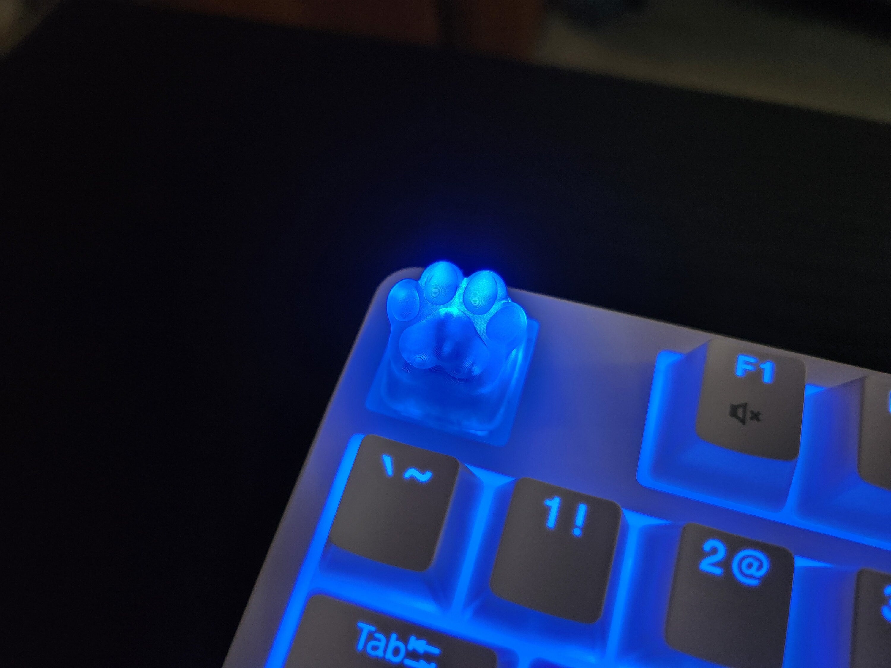 Kitten Cat Paw Keycap - Clear Transparent Cute Keycap Designs, Cherry MX, Multiple Colors