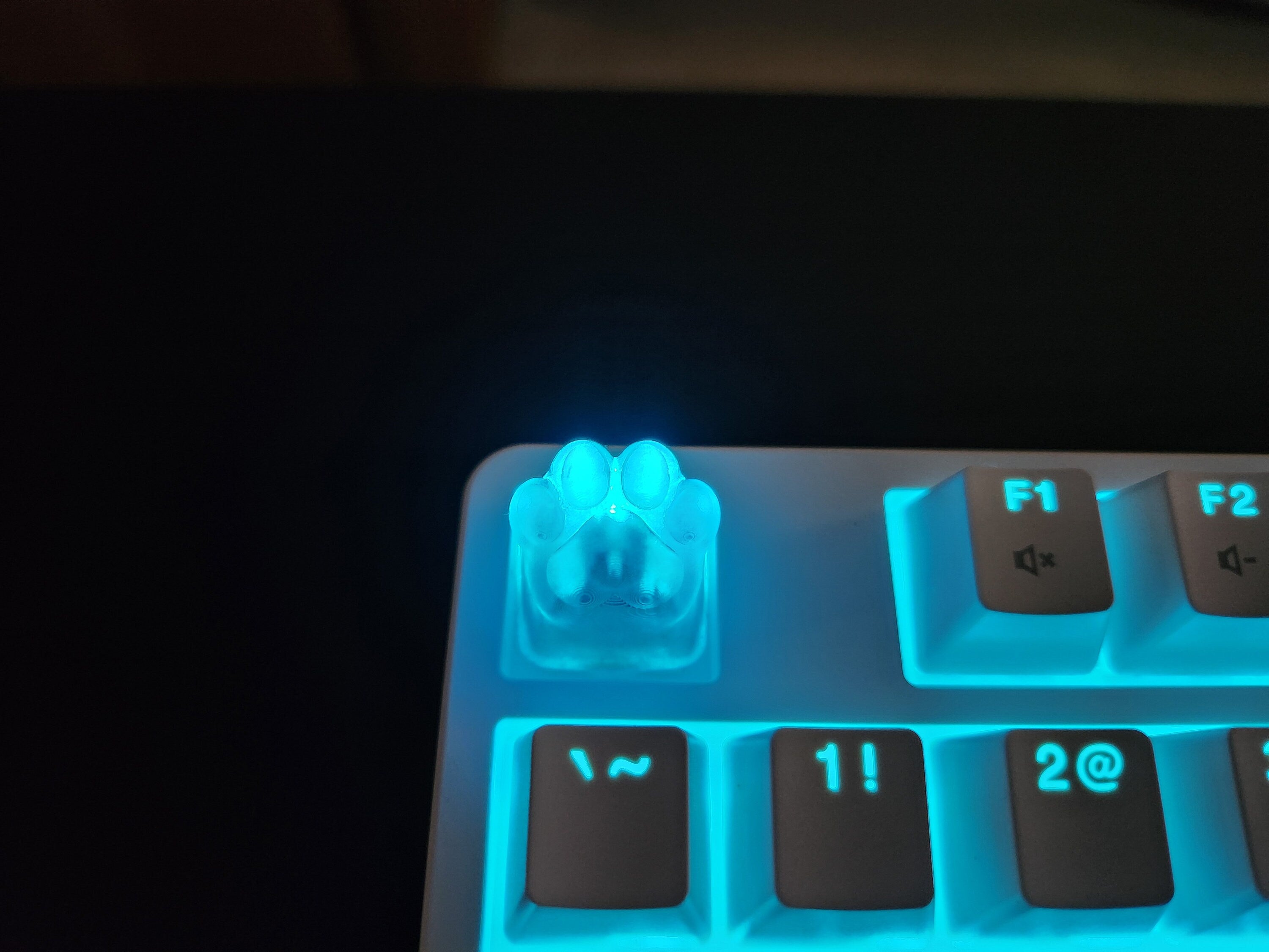 Kitten Cat Paw Keycap - Clear Transparent Cute Keycap Designs, Cherry MX, Multiple Colors